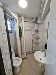 Blk 106 Hougang Avenue 1 (Hougang), HDB 5 Rooms #476245611